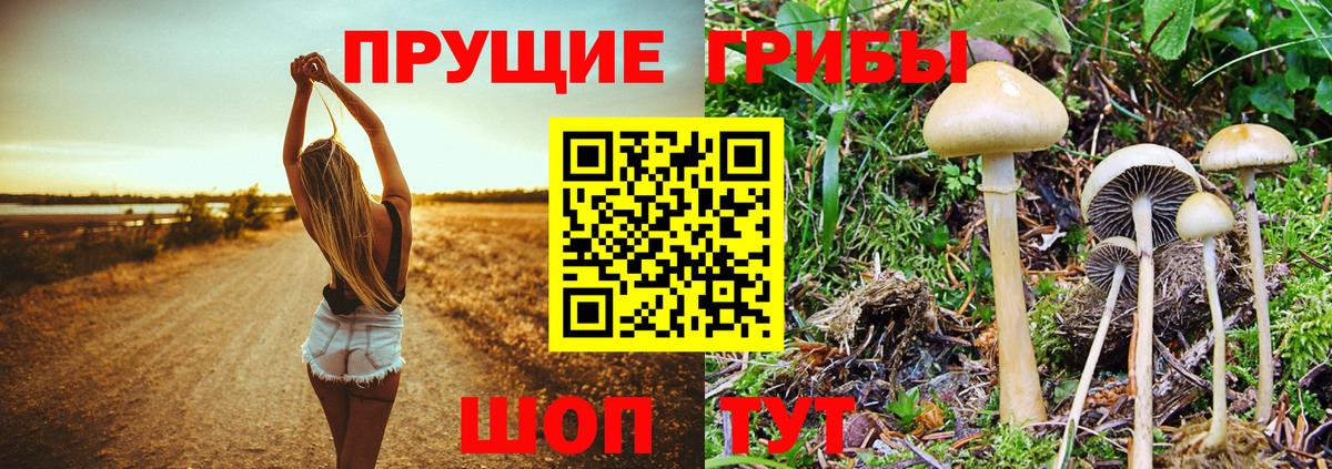 где можно купить наркотик  Галлюциногенные грибы ЛСД  Вход с VPN  Губкинский 